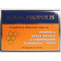 Royal Propolis 20 Ampoules
